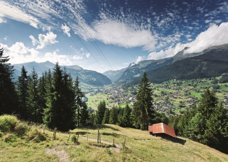 From Lucerne: Day Trip to Grindelwald and Interlaken - Spending Time in Interlaken