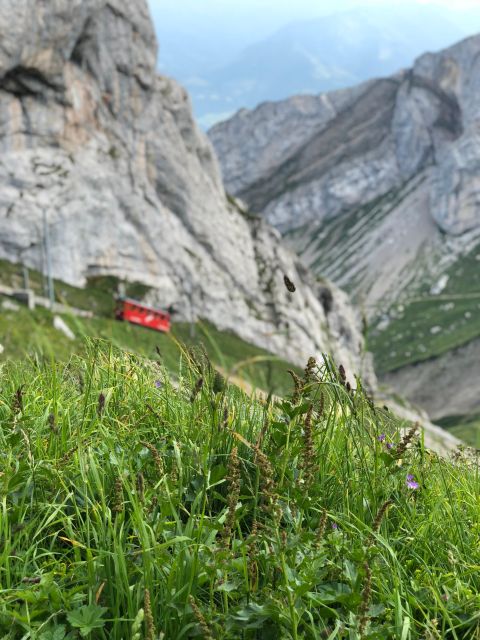 From Lucerne: Mt. Pilatus and Lake Lucerne Private Tour - Highlights of the Day
