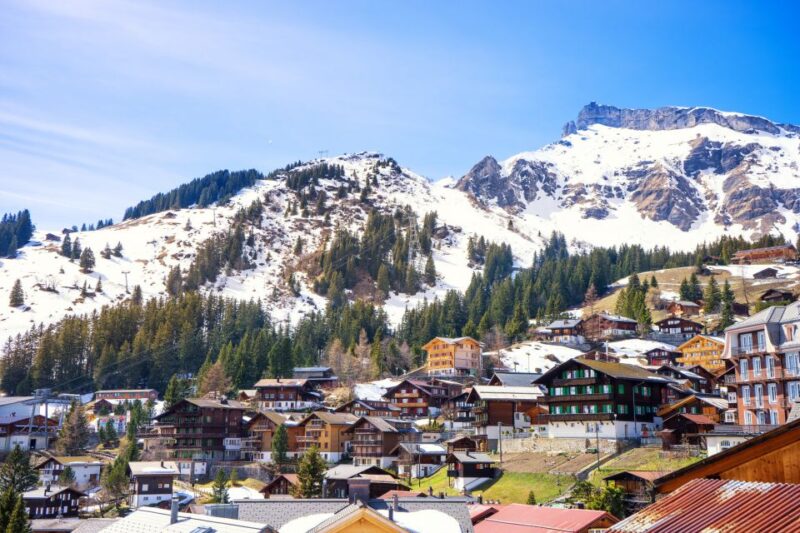 From Lucerne: Private Day Tour to Interlaken and Grindelwald - Key Points