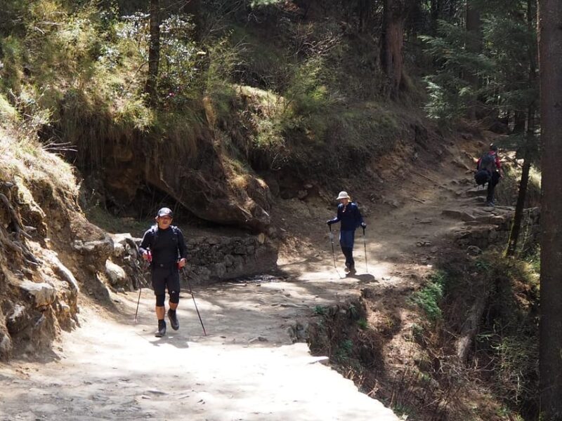 From Lukla: 10 Day Gokyo Lake & Gokyo Ri Peak Private Trek - Exclusions
