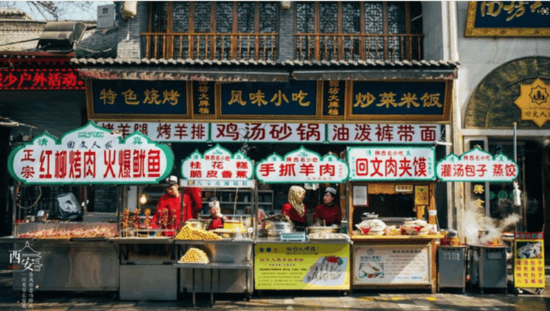 From Luoyang to Xian Terrocotta Army Tour With Bullet Train - Tour Overview and Pricing