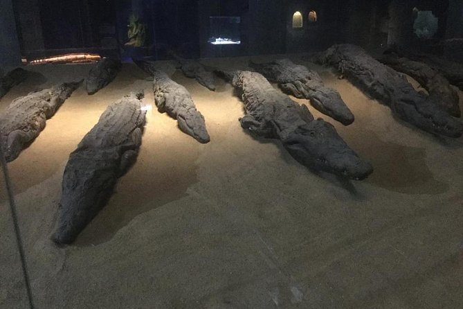 From Luxor: Private Day Trip to Edfu and Kom Ombo - Inclusions and Exclusions