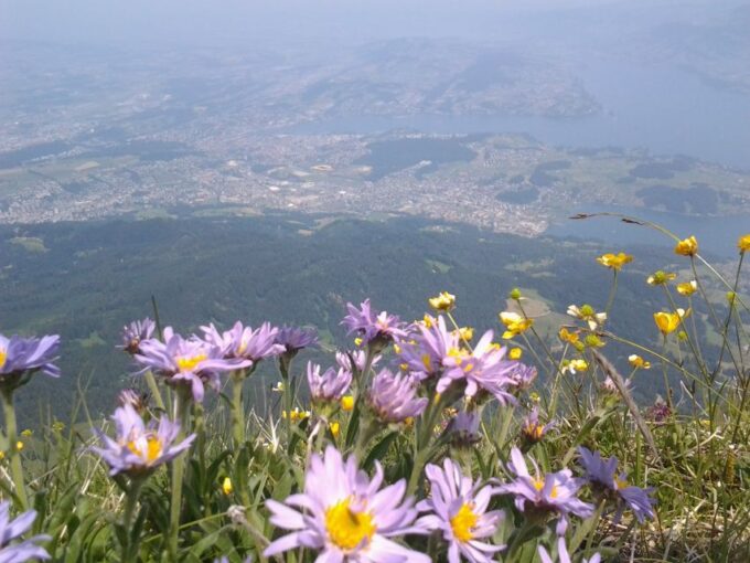 From Luzern:Small Group Tour Golden Roundtrip to Mt. Pilatus - Ascending Mount Pilatus