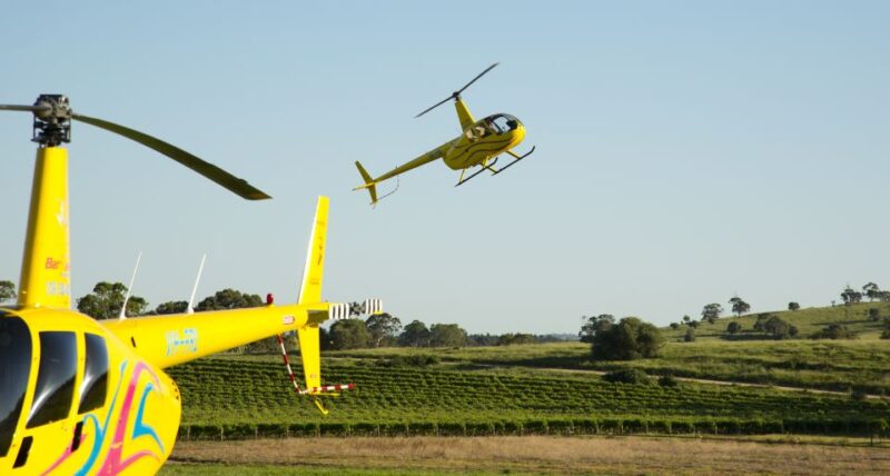 From Lyndoch: Barossa Valley 15-Minute Helicopter Flight - Pilots Live Commentary