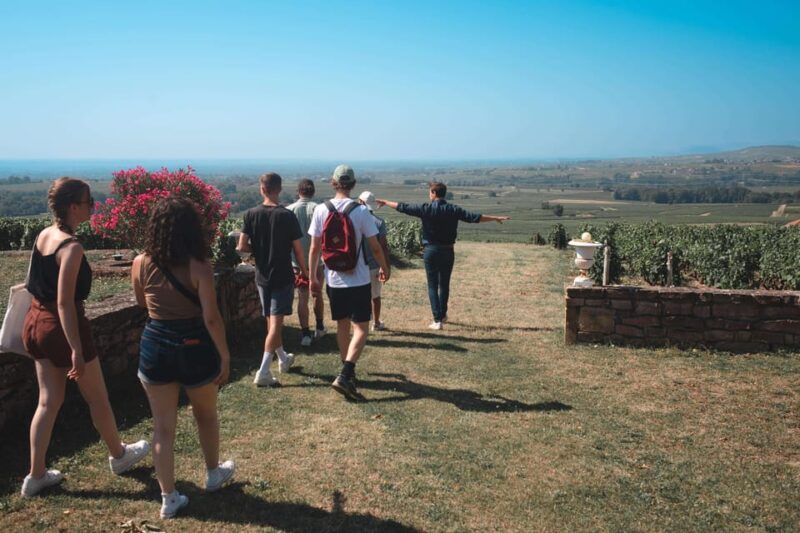 From Lyon : Beaujolais Private Day Tour by Vintage Defender - Exclusive Access