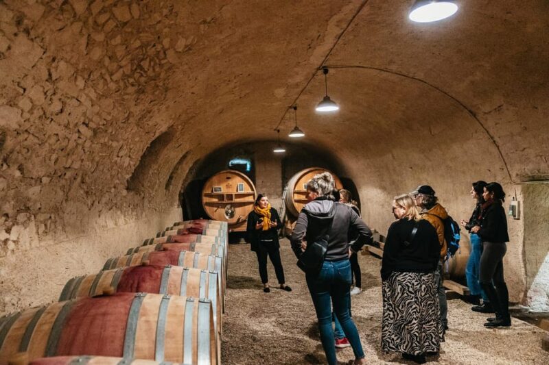 From Lyon: Beaujolais Region Wine Tour With Tastings - Itinerary Highlights
