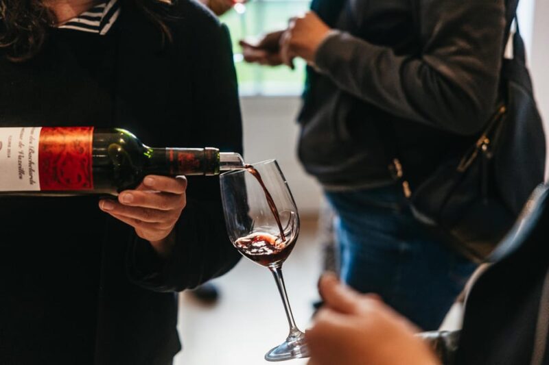 From Lyon: Beaujolais Region Wine Tour With Tastings - Included Features