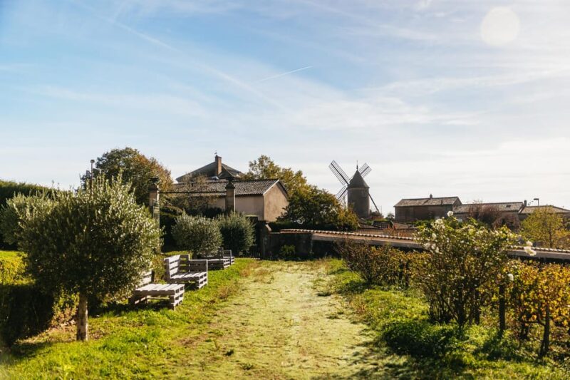 From Lyon: Beaujolais Region Wine Tour With Tastings - Important Information