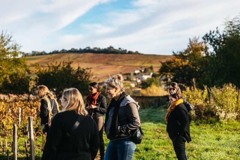 From Lyon: Beaujolais Region Wine Tour With Tastings - Customer Feedback