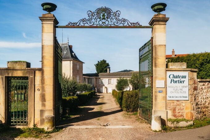 From Lyon: Beaujolais Region Wine Tour With Tastings - Discovering the Diversity of Beaujolais Wines