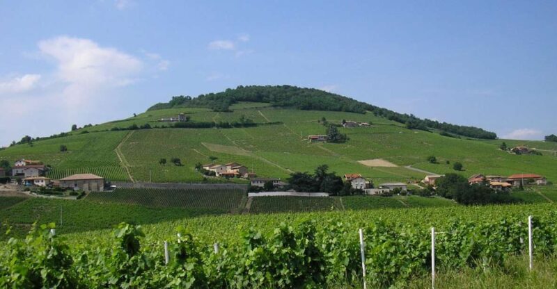 From Lyon: Beaujolais Region Wine Tour With Tastings - Beaujolais Region
