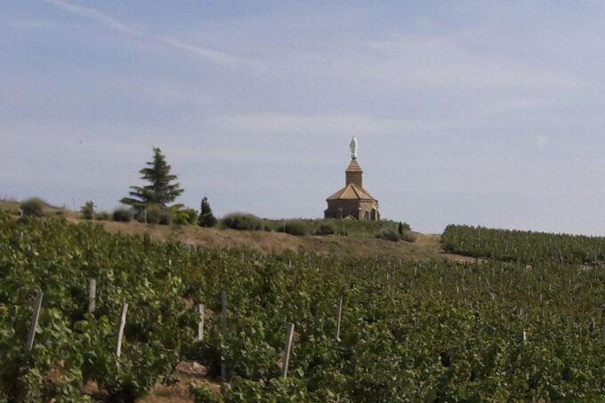 From Lyon: Beaujolais Region Wine Tour With Tastings - Frequently Asked Questions