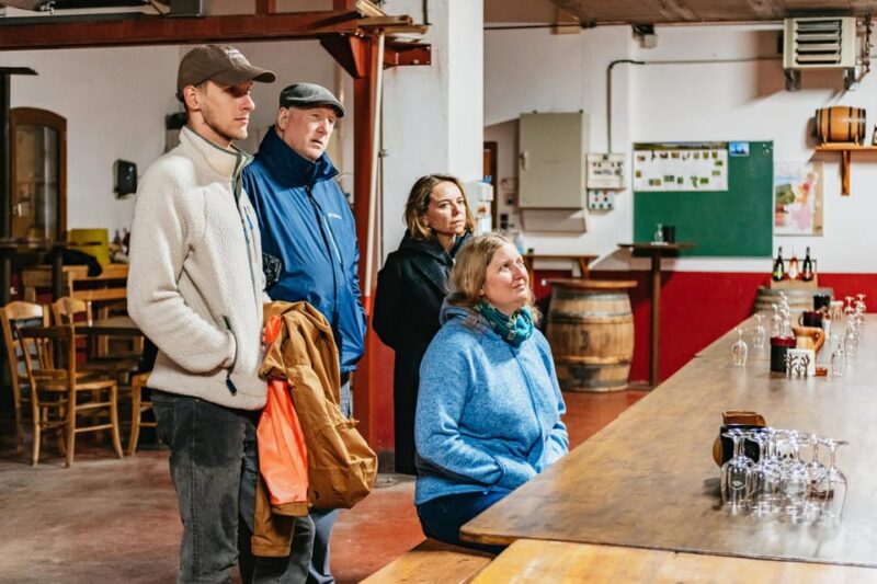 From Lyon: Beaujolais Wine Tasting Day Tour - Winemaking Techniques and Insights