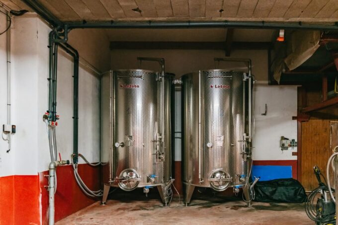 From Lyon: Beaujolais Wine Tasting Day Tour - Transportation and Inclusions