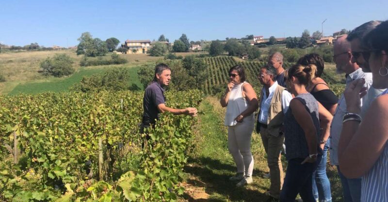 From Lyon: Beaujolais Wine Tasting Day Tour - Key Points