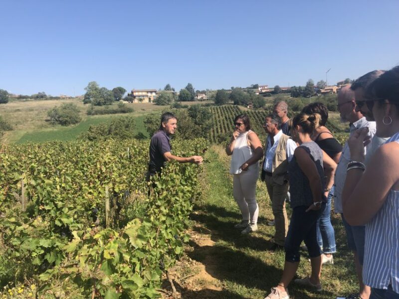 From Lyon: Beaujolais Wine Tasting Day Tour - Escaping to Beaujolais
