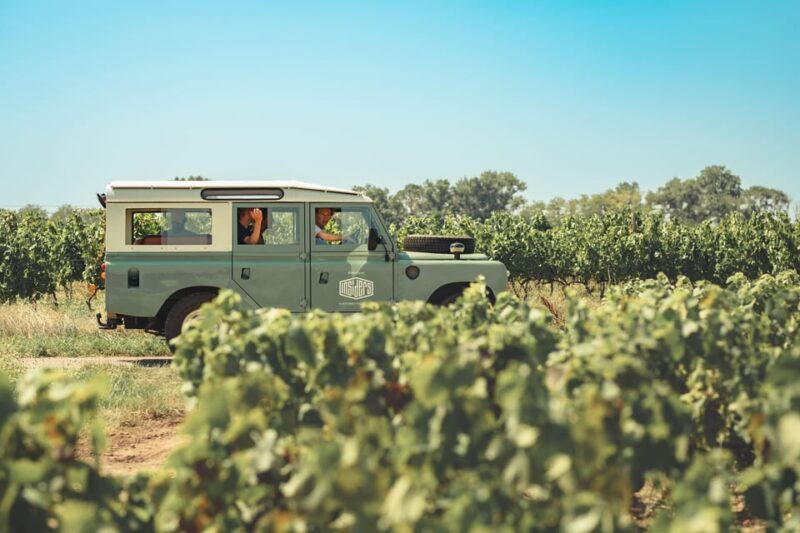 From Lyon: Burgundy Private Half Day Tour by Defender - Tour Highlights