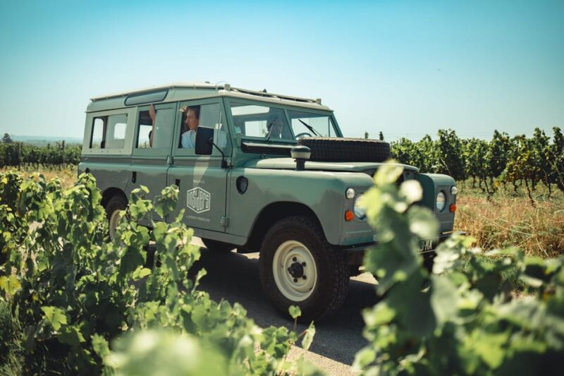 From Lyon: Burgundy Private Half Day Tour by Defender - Discovering Winemaking Secrets With a Passionate Local Insider