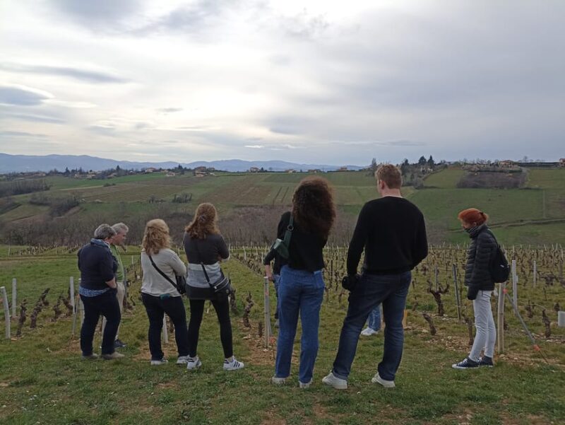From Lyon: Guided Beaujolais Tour With Wine Tasting - Key Points