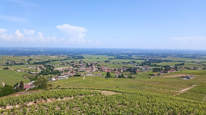 From Lyon: Guided Beaujolais Tour With Wine Tasting - Customer Feedback