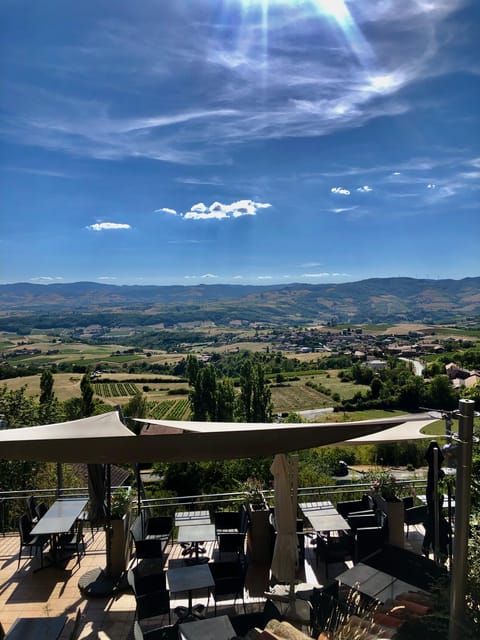 From Lyon: Oingt and Golden Stone Villages Half Day Tour - Inclusions and Exclusions