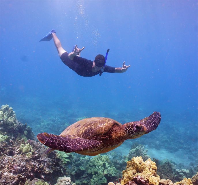 From Maalaea Harbor: Lanai Snorkel and Dolphin Adventure - Itinerary Highlights