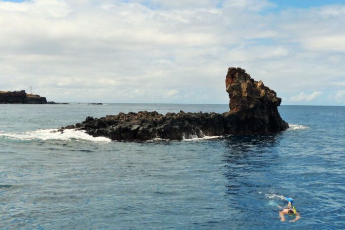 From Maalaea Harbor: Lanai Snorkel and Dolphin Adventure - Customer Review Highlights