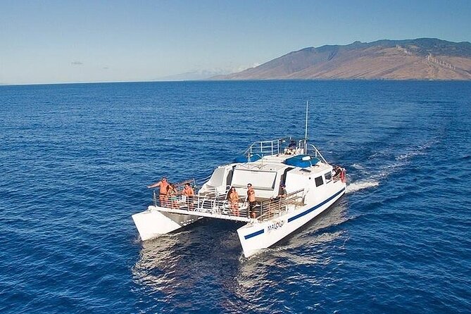 From Maalaea Harbor: Sunset Whale Watch Tour Aboard the Malolo - Key Points