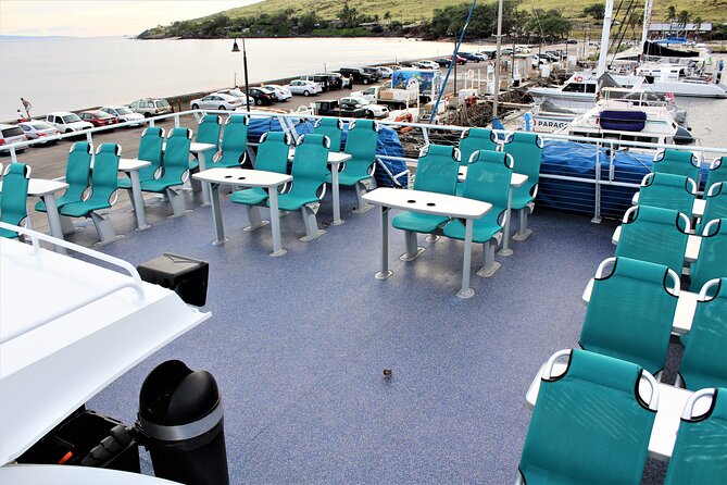 From Maalaea Harbor: Thanksgiving Dinner Cruise Aboard Calypso - Accessibility and Special Needs