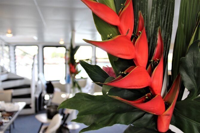 From Maalaea Harbor: Thanksgiving Dinner Cruise Aboard Calypso - Cancellation and Rescheduling