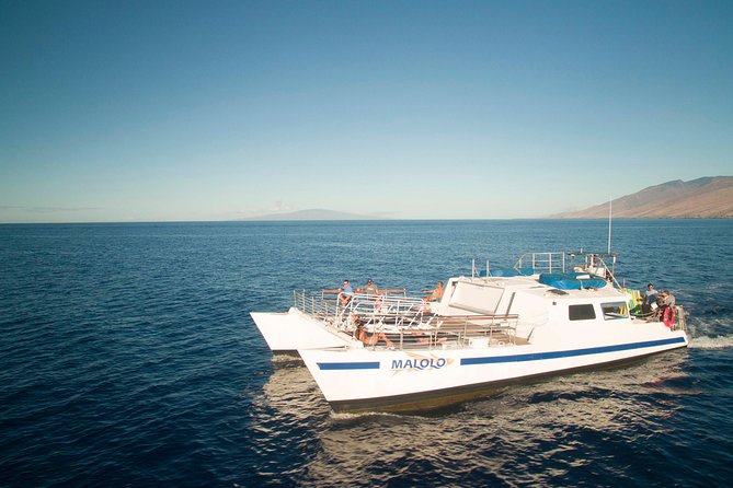 From Maalaea Harbor: Whale Watch Cruise Aboard the Malolo - Meeting and Check-In Process