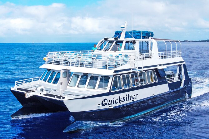 From Maalaea Harbor: Whale Watching Tours Aboard the Quicksilver - Cancellation Policy