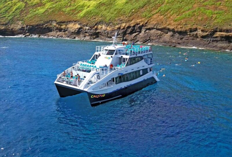 From Maalaea: Thanksgiving Dinner Cruise Aboard the Calypso - Dinner and Drinks