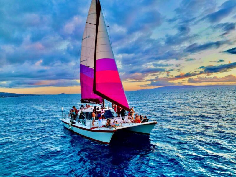 From Maalaea: Whale Watching Catamaran Cruise With Drinks - Included Refreshments and Amenities