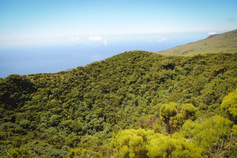 From Madalena: Pico Volcanoes and Lakes Guided Day Tour - Preparation and Meeting Information