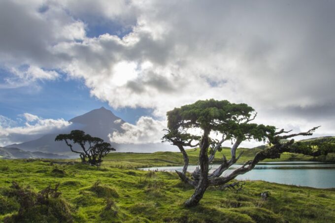From Madalena: Pico Volcanoes and Lakes Guided Day Tour - Transportation and Value