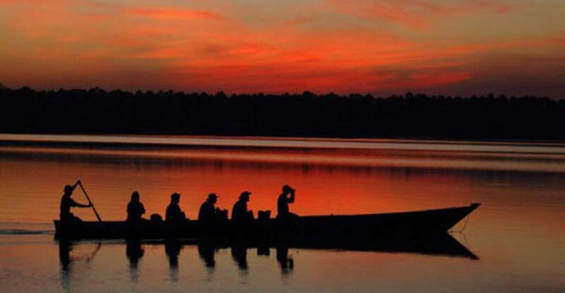 From Madre De Dios ||Night Trekking in the Amazon Rainforest - Experience Highlights