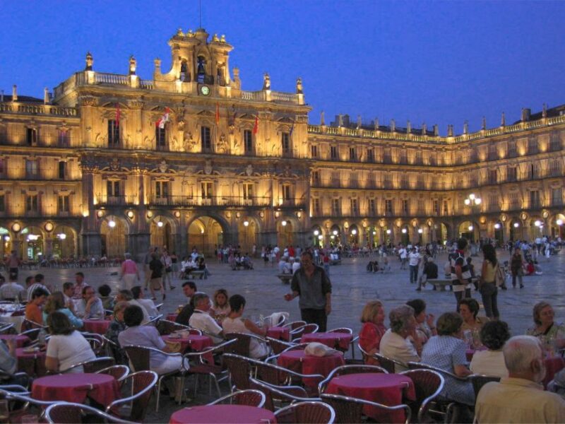 From Madrid: Avila and Salamanca Private Tour - Languages and Accessibility