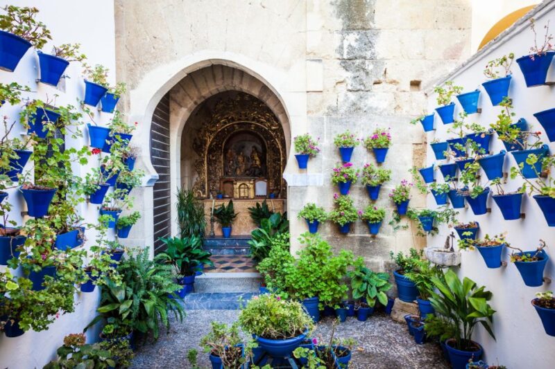 From Madrid: Cordoba Day Tour by Train - Transportation and Logistics