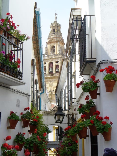 From Madrid: Cordoba Day Trip by High-Speed Train - Key Points