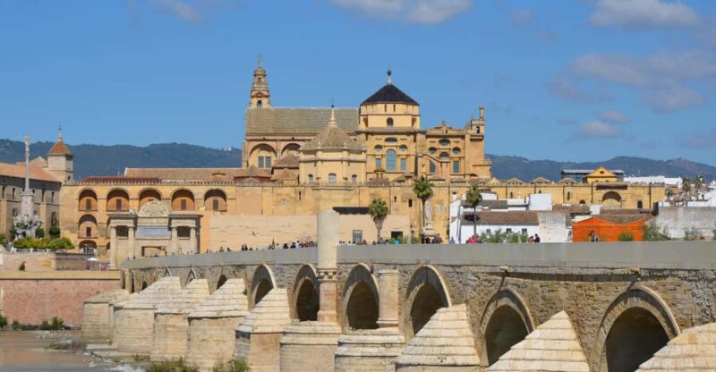 From Madrid: Cordoba Day Trip by High-Speed Train - Highlights and Experience