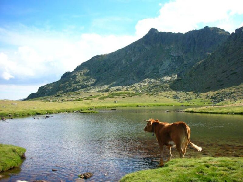 From Madrid: Day Trip to Guadarrama National Park - Itinerary Highlights