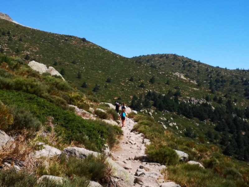 From Madrid: Day Trip to Guadarrama National Park - Transportation and Logistics