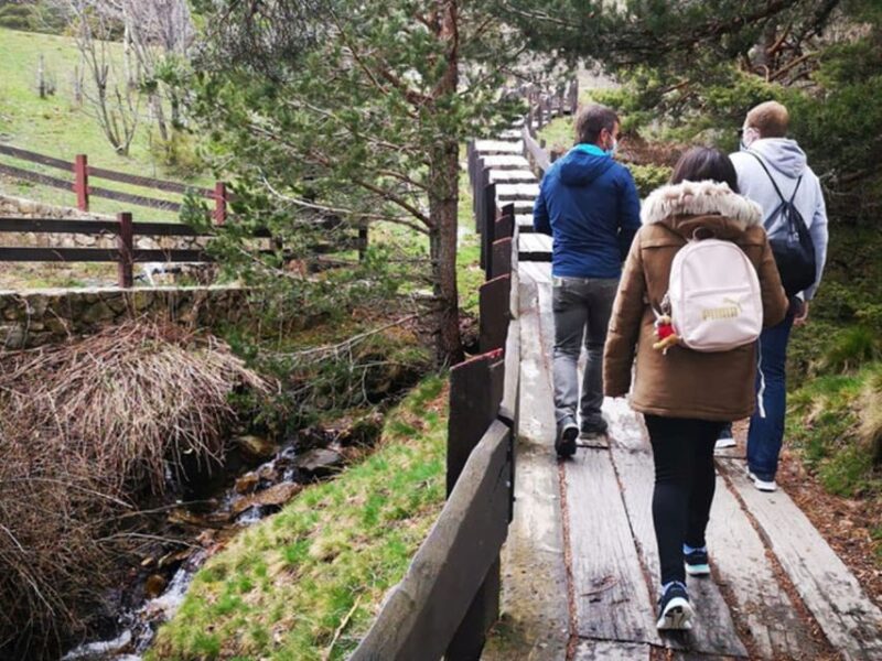 From Madrid: Day Trip to Guadarrama National Park - Photography Opportunities