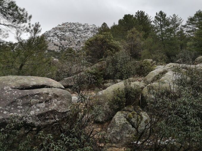 From Madrid: Day Trip to Guadarrama National Park - Visitor Recommendations