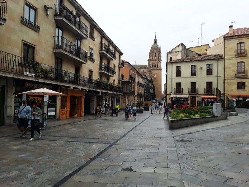 From Madrid: Day Trip to Salamanca With Private Tour - Highlights of Salamanca