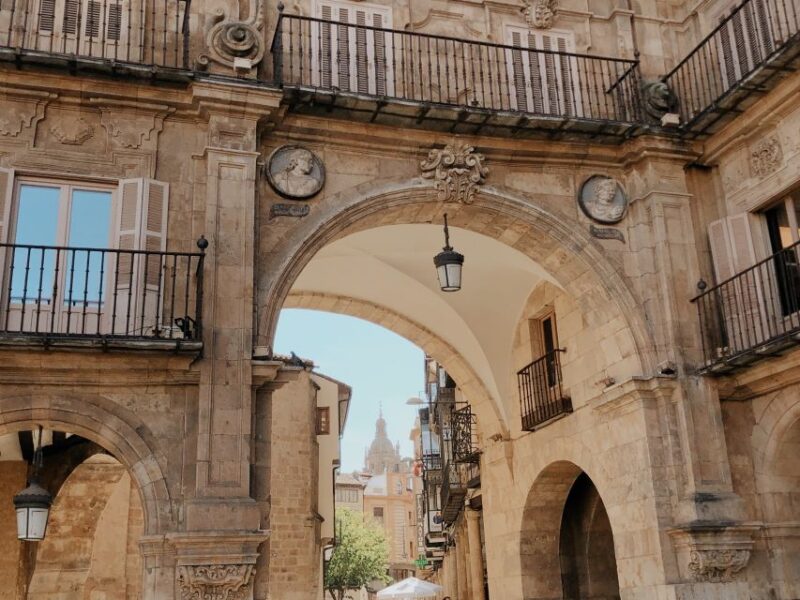 From Madrid: Day Trip to Salamanca With Private Tour - Guided Tour Details