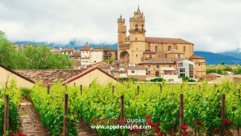 From Madrid: Don Quixote Route Tour Wines Mills & Farmhouses - Key Points