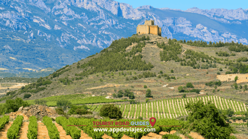 From Madrid: Don Quixote Route Tour Wines Mills & Farmhouses - Itinerary Highlights