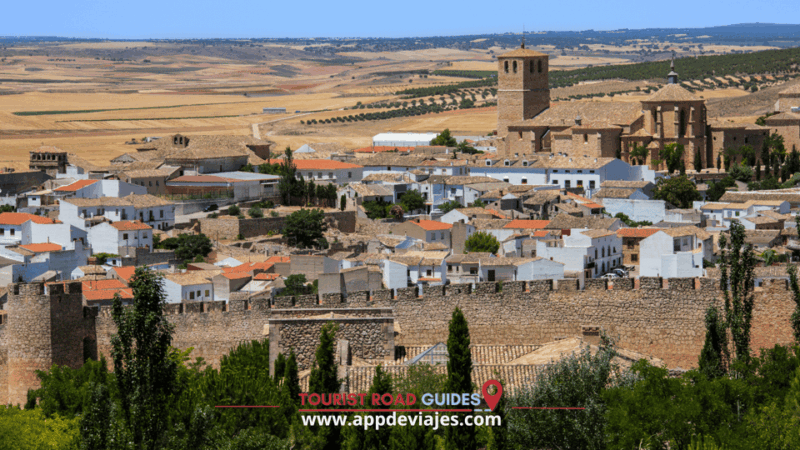 From Madrid: Don Quixote Route Tour Wines Mills & Farmhouses - Wine-Making Processes